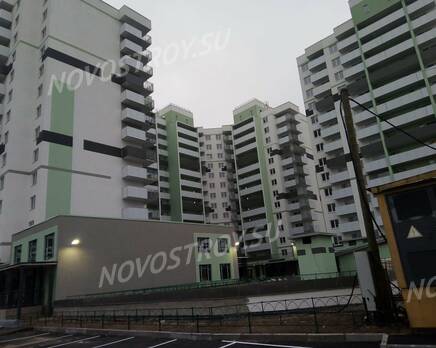 ЖК «Парголово»: ход строительства, Январь 2021