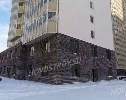 ЖК «Невская Звезда»: ход строительства (январь 2021), Март 2021