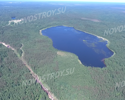 СНТ «Новое Токсово», Март 2021