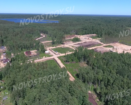 СНТ «Новое Токсово», Март 2021