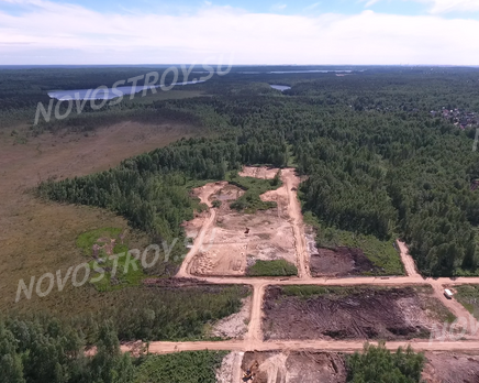 СНТ «Новое Токсово», Март 2021