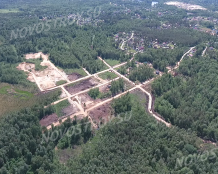 СНТ «Новое Токсово», Март 2021
