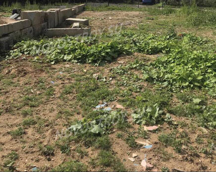 ЖК «Сходня Парк»: ход строительства, Июнь 2021