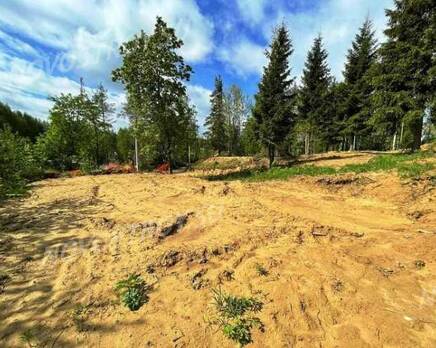 КП Yukki Village: ход строительства, Июнь 2021