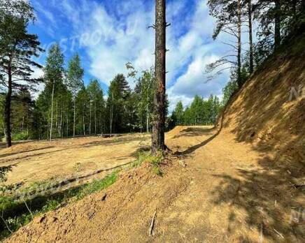 КП Yukki Village: ход строительства, Июнь 2021