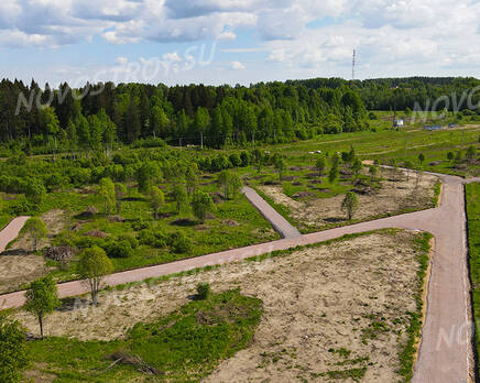 КП «Лебяжье»: ход строительства, Июнь 2021