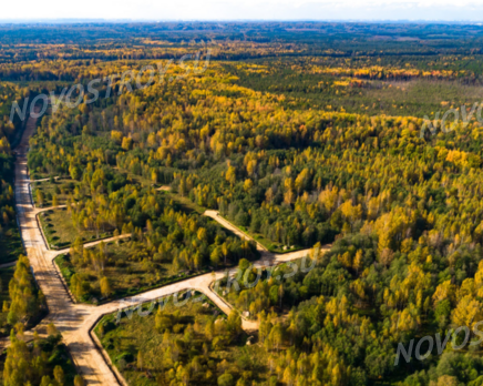 КП «Синицыно»: ход строительства, Июнь 2021