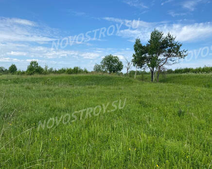 КП Marino Garden: ход строительства, Июль 2021