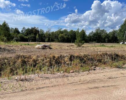 КП «Озеро Александровское», Август 2021