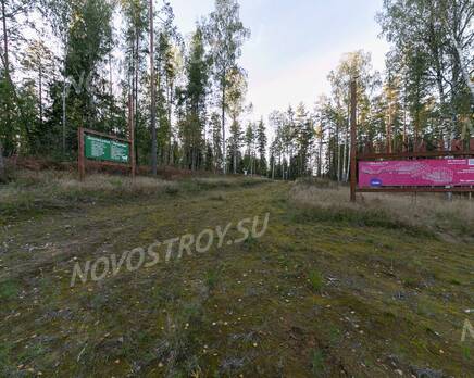 КП «KettuJarvi»: ход строительства, Сентябрь 2021
