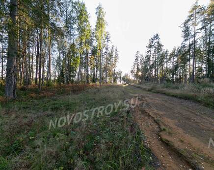 КП «KettuJarvi»: ход строительства, Сентябрь 2021