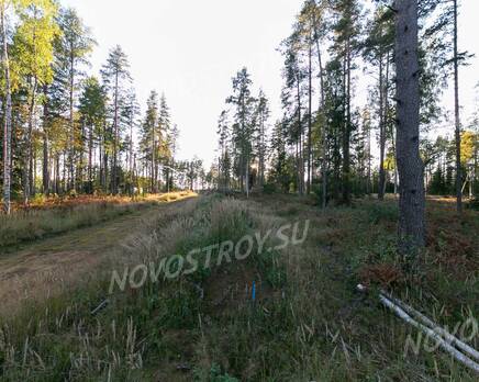 КП «KettuJarvi»: ход строительства, Сентябрь 2021