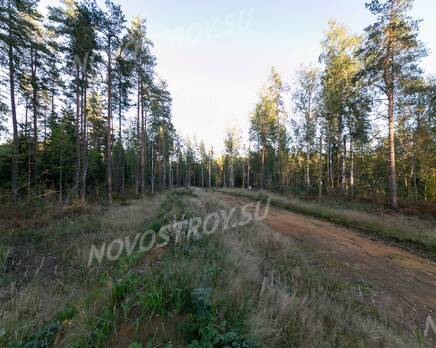 КП «KettuJarvi»: ход строительства, Сентябрь 2021