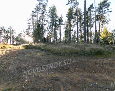 КП «KettuJarvi»: ход строительства, Сентябрь 2021