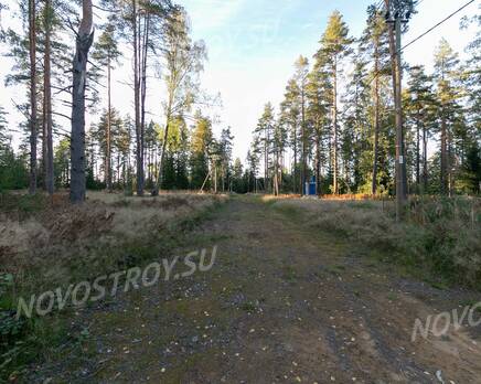 КП «KettuJarvi»: ход строительства, Сентябрь 2021
