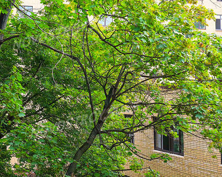 Апарт-отель «Апартаменты в Кусково»: ход строительства, Октябрь 2021