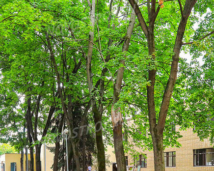 Апарт-отель «Апартаменты в Кусково»: ход строительства, Октябрь 2021