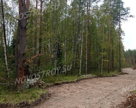 КП Forest Village: ход строительства, Октябрь 2021