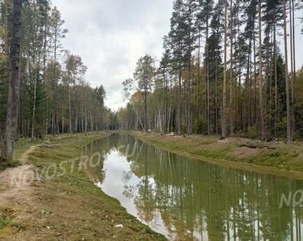 КП Forest Village: ход строительства, Октябрь 2021