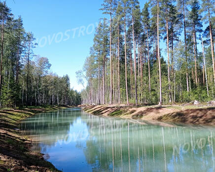 КП Forest Village: ход строительства, Октябрь 2021