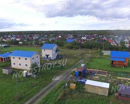 Царский склон (Ропшинская долина), Февраль 2022