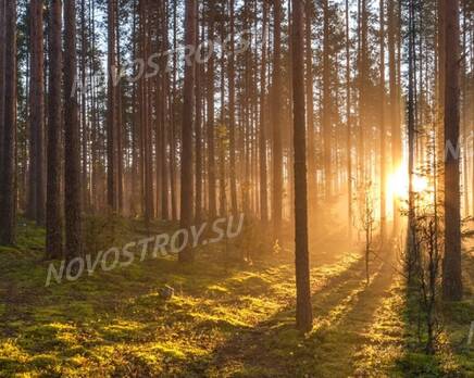 КП Repinof: ход строительства, Март 2022
