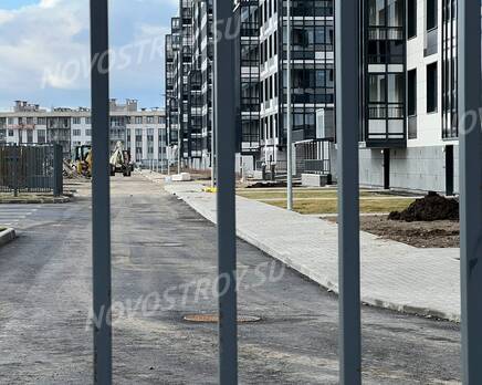 ЖК «Жемчужная гавань»: из группы дольщиков, Апрель 2022