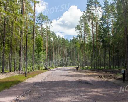 КП «Еловая усадьба»: ход строительства, Июль 2022