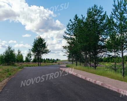 КП «Линтулово», Декабрь 2022