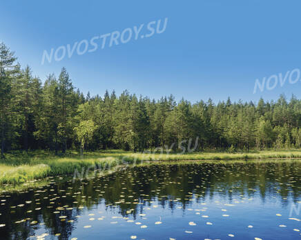 КП «Линтулово», Декабрь 2022