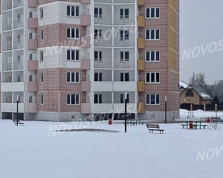 ЖК «Северное сияние (Руза)»: ход строительства, Январь 2023