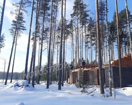 КП «Холмогорье», Апрель 2023