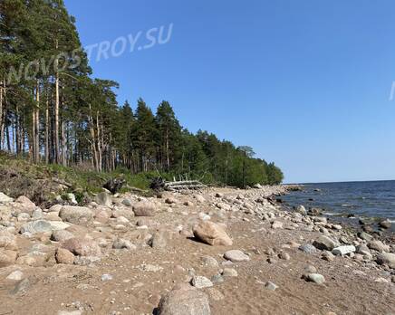 КП «Алые паруса»: берег Финского залива, Апрель 2023