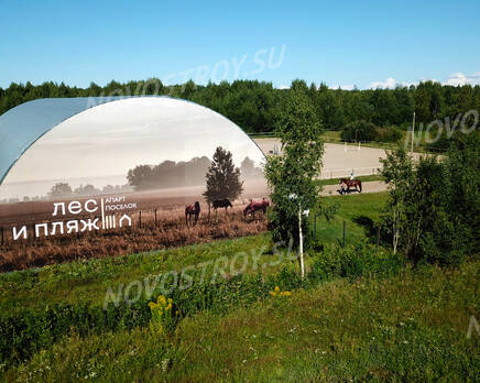 КП «Лес и пляж», Май 2023