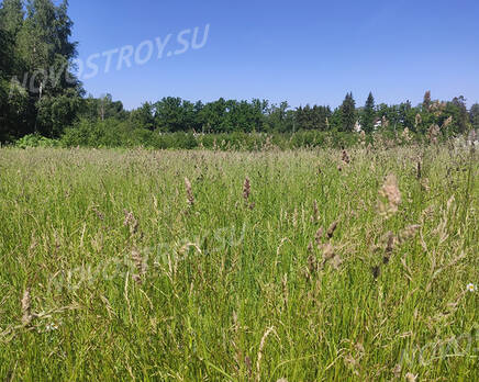 Honkaniemi (ДНП «Долина озер»), Сентябрь 2023