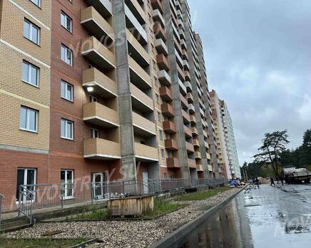 ЖК «Лесной квартал»: ход строительства , Октябрь 2023