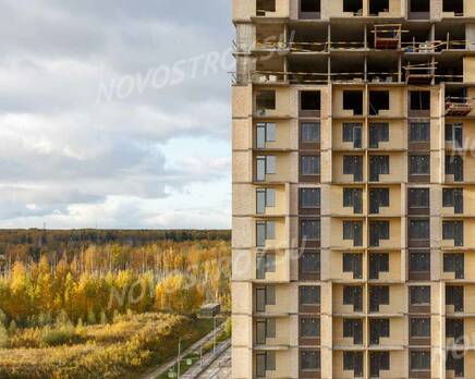 ЖК «Юнтолово»: ход строительства корпуса № 3, Ноябрь 2023