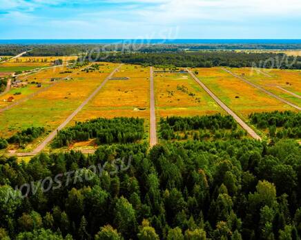 КП «Аисты», Ноябрь 2023