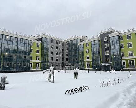 МЖК «Новое Сертолово»: ход строительства , Январь 2024