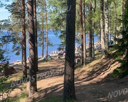 КП «Долина Парк»: ход строительства, Январь 2024
