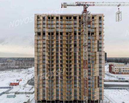 ЖК «Юнтолово»: ход строительства корпуса № 3, Январь 2024