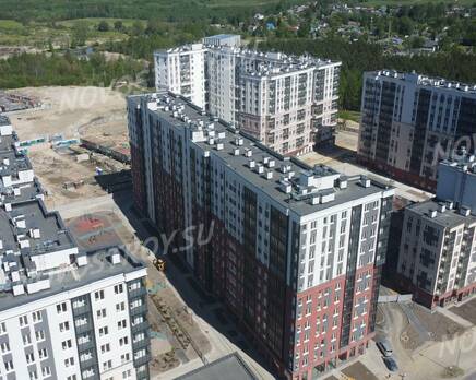 ЖК «ID Murino II»: ход строительства , Июнь 2024