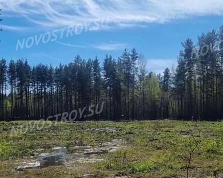 ЖК «Pro.Счастье»: ход строительства , Июль 2024