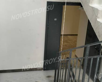ЖК «Молодежный 4, 5»: ход строительства , Август 2024