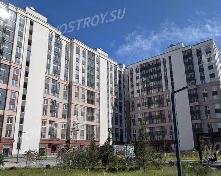 ЖК «ID Murino II»: ход строительства , Сентябрь 2024