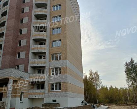 ЖК «Мой город»: ход строительства , Октябрь 2024