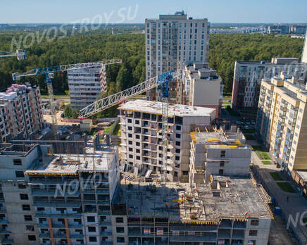 ЖК «Сандэй»: ход строительства , Октябрь 2024