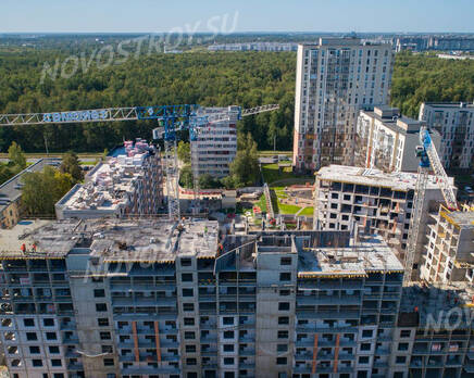 ЖК «Сандэй»: ход строительства , Октябрь 2024