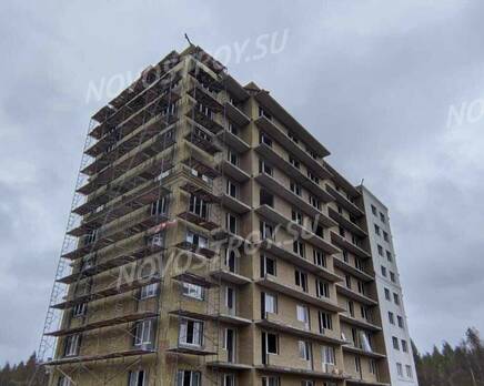 ЖК «Кировский Посад»: ход строительства , Октябрь 2024
