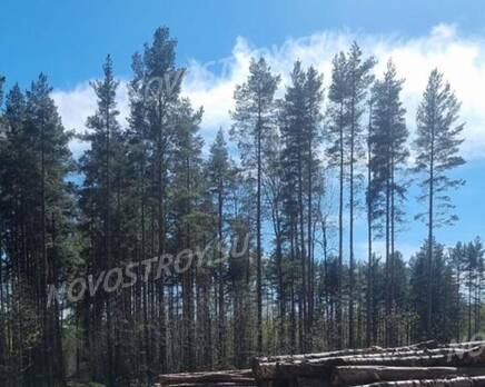 ЖК «Pro.Счастье»: ход строительства , Октябрь 2024